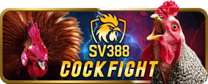 Cấp độ Kim Cương VIP 8ki
